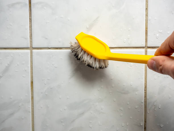 Tidmore Bend, AL Mold Removal Company